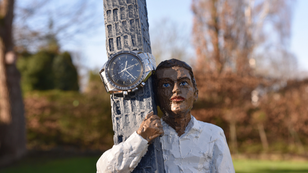12 QUESTIONS ONLY TO… <br> INGO